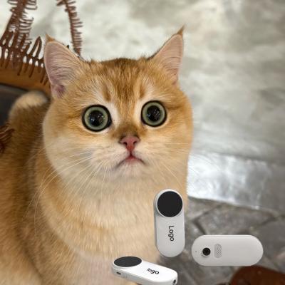 The Impact of AI on Pet-Owner Relationships