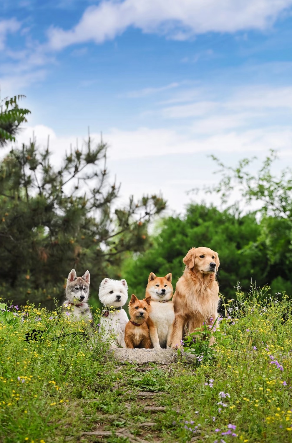 1753077434275372.jpg 微信图片_20250721135657.jpg